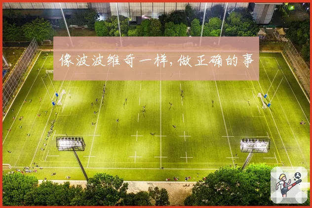 像波波维奇一样,做正确的事