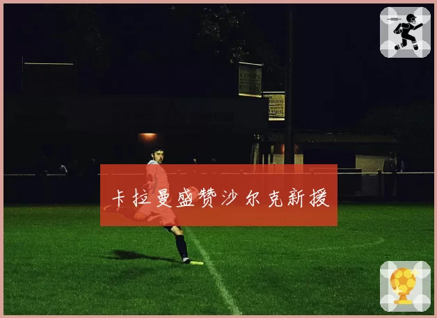 卡拉曼盛赞沙尔克新援