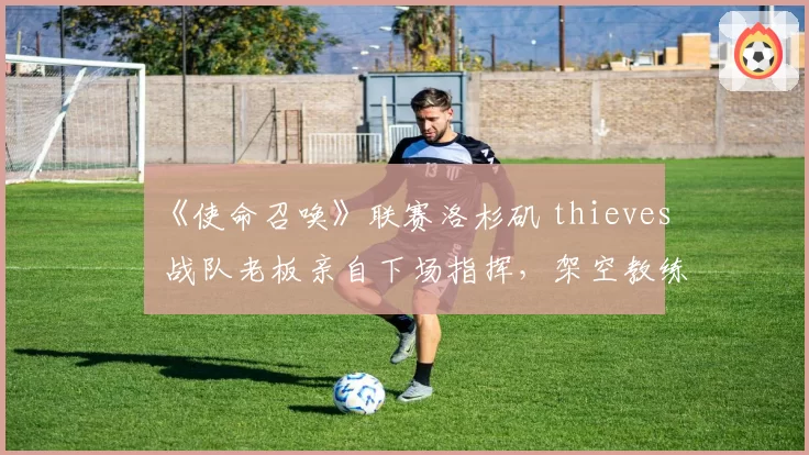 《使命召唤》联赛洛杉矶 thieves 战队老板亲自下场指挥，架空教练引发职业选手联名抗议