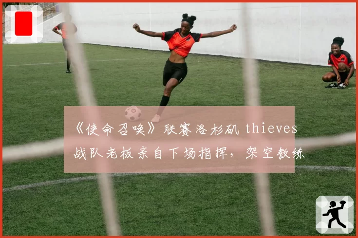 《使命召唤》联赛洛杉矶 thieves 战队老板亲自下场指挥,架空教练引发职业选手联名抗议